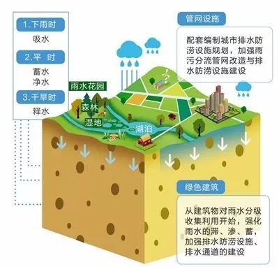 图11.jpg